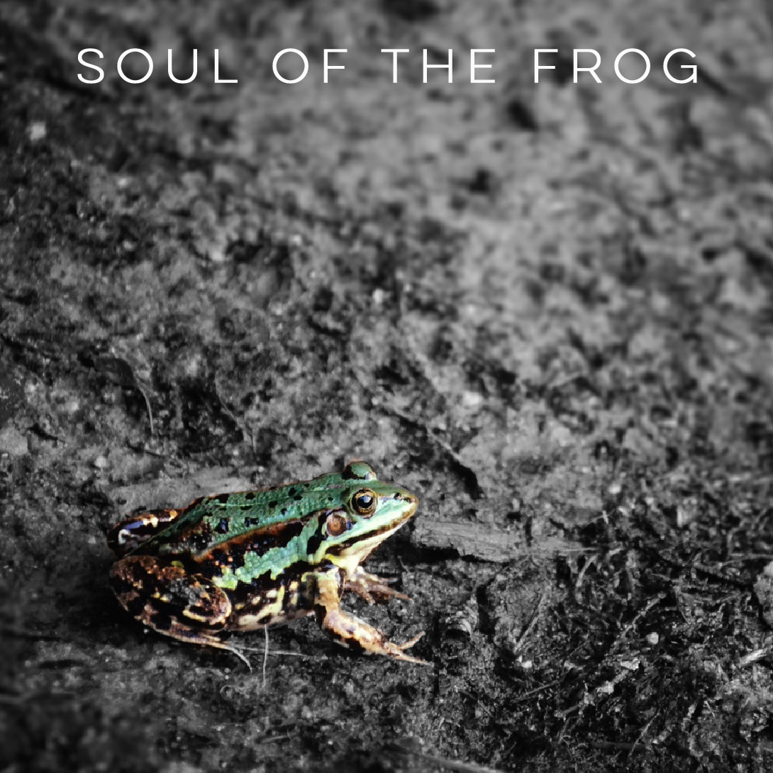 soul of the frog album cover